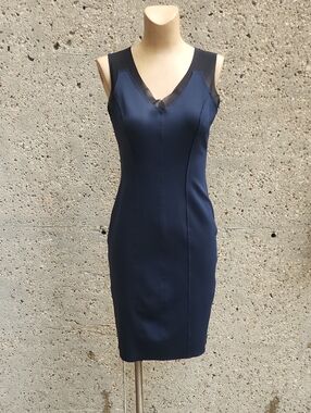 Iris Setlakwe navy dress